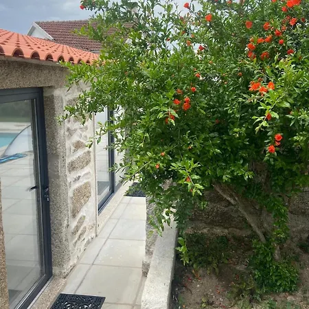 Casa De Miguel Choco Trancoso