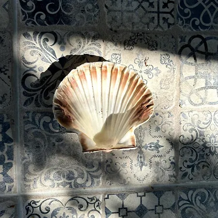 Casa De Miguel Choco شقة