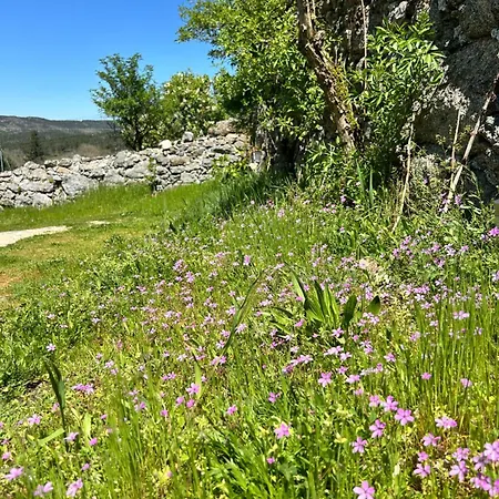 Casa De Miguel Choco شقة