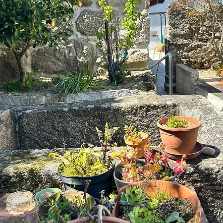 Casa De Miguel Choco