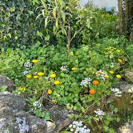 Casa De Miguel Choco شقة *