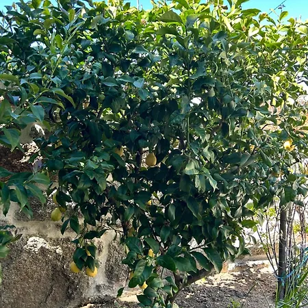 Casa De Miguel Choco * ترانكوسو