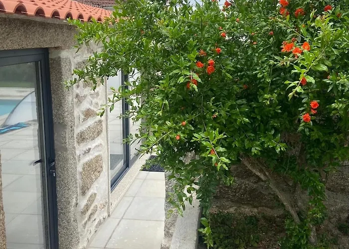 Casa De Miguel Choco Trancoso