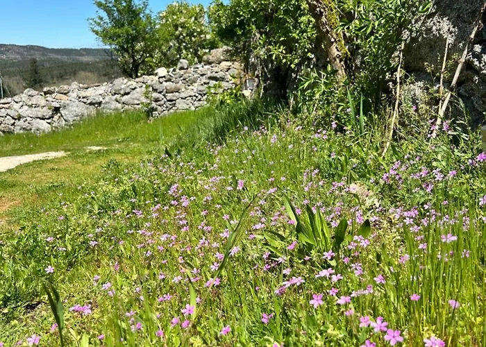 Casa De Miguel Choco Daire