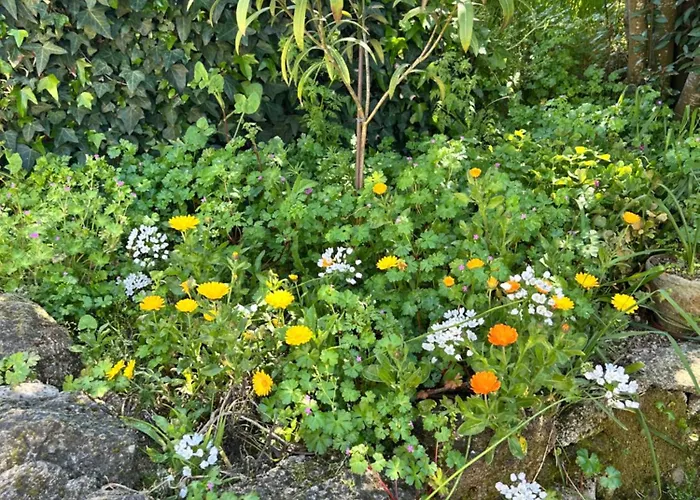 Casa De Miguel Choco Daire *