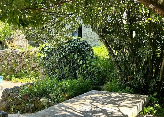 Casa De Miguel Choco